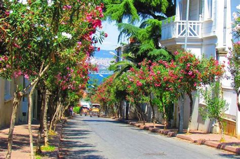 Büyükada | Turquie