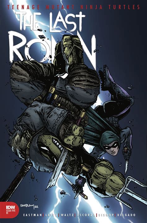 TMNT: The Last Ronin Finale Paves the Way Into a New Ninja Turtle Age