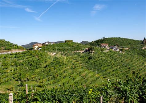 Picturesque Hills with Vineyards of the Prosecco Sparkling Wine Region in Valdobbiadene Stock ...