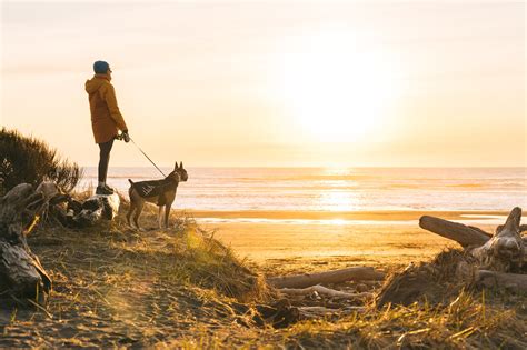 Westport Beaches — Experience Westport, Washington