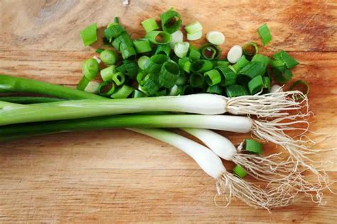 Grow Your Own Green Onions: A Step-by-Step Guide to Planting from Seed