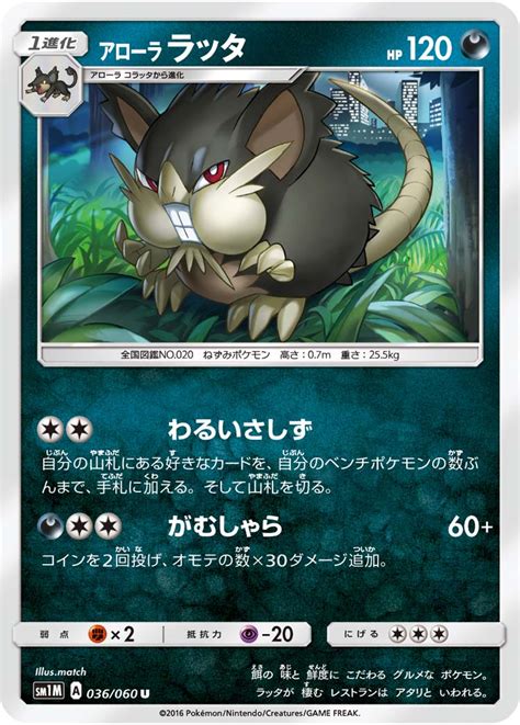 Alolan Raticate (Sun & Moon 77) - Bulbapedia, the community-driven Pokémon encyclopedia