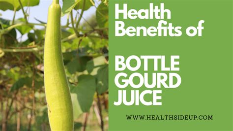 Health Benefits of BOTTLE GOURD JUICE - Healthsideup.com