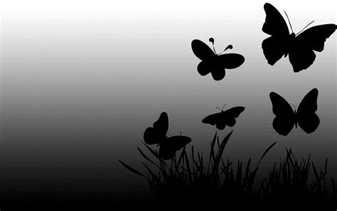 Black Butterfly Wallpapers - Wallpaper Cave