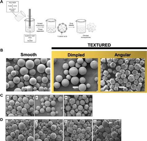 Fabrication and characterization of topographically textured ...