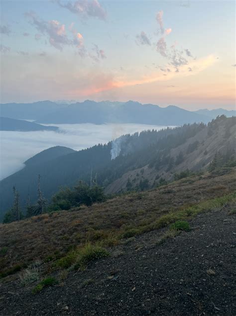 Small Wildfire Reported in the Hurricane Ridge Area of Olympic National ...