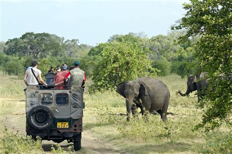 Sri Lanka Wildlife Tour | Flora and Fauna to Delight