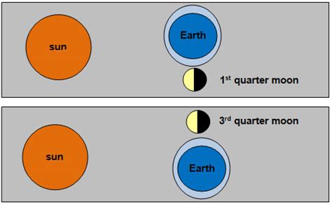 The animation below shows the revolution of the moon and spring vs. neap tides.