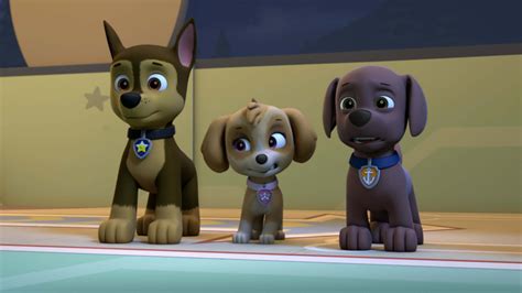 Watch PAW Patrol Season 5 Episode 6: PAW Patrol - Pups and the Werepuppy!/Pups Save a ...