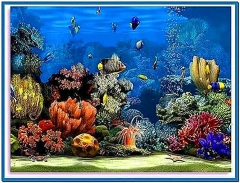 Download Living Marine Aquarium 2 Screensaver - Free and Beautiful ...