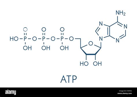 Adenosine triphosphate (ATP) molecule. Functions as neurotransmitter ...