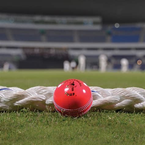 Pink Cricket Ball | Day/Night Cricket Ball | Pink Turf Ball by ...