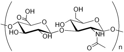 Glycosaminoglycan - wikidoc