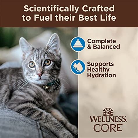 Wellness CORE Tiny Tasters Wet Cat Food, Complete & Balanced Natural ...