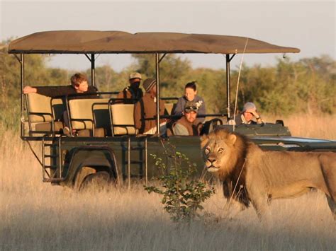 3 Days | 2 Night Selous Game Reserve Affordable Safari – Swahili Paradise Tours & Safaris