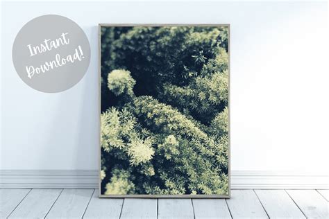 Moss Wall Art Moss Art Printable Moss Wall Decor Simple - Etsy