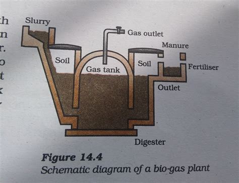 Draw A Labelled Diagram Of Biogas Plant Brainly In | The Best Porn Website