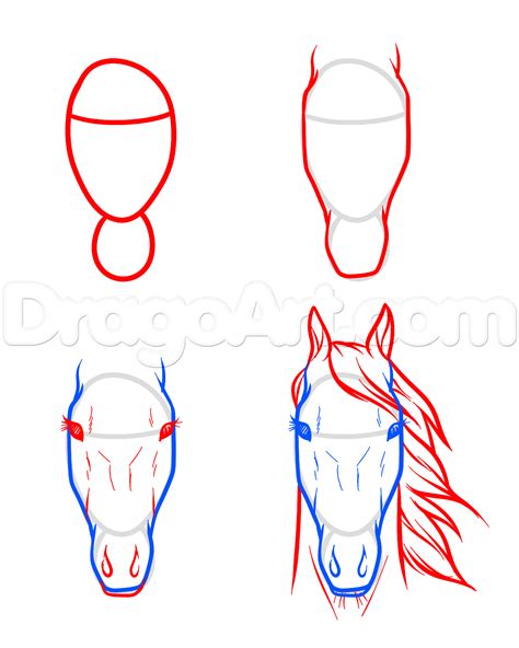 draw horse heads and faces step 7 | Horse art drawing, Horse drawings, Horse head drawing