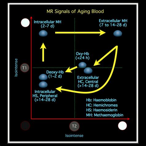 MRI BLOG: MR Signal Intensity of Aging Blood