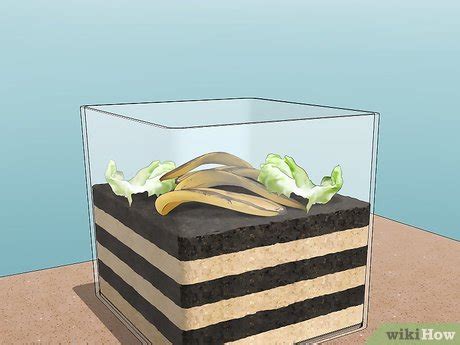 How to Make a Worm Habitat: 10 Steps (with Pictures) - wikiHow