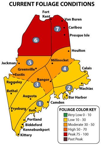 Maine Fall Foliage Weekly Report - October 7, 2015