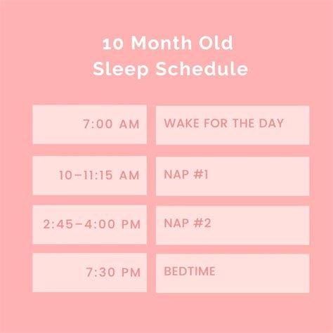 Sample 10 Month Old Sleep Schedule With Naps and Feedings