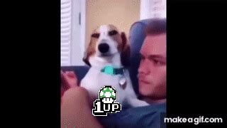 sus dog on Make a GIF