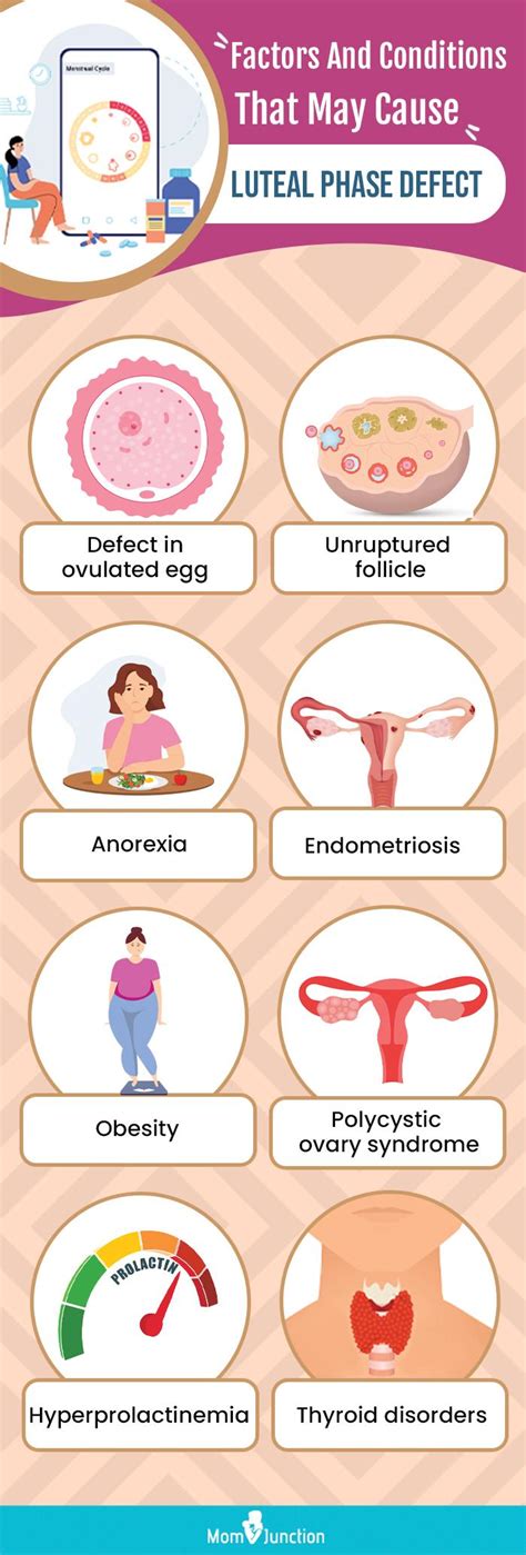 Luteal Phase Defect: What It Is, Symptoms And Treatment