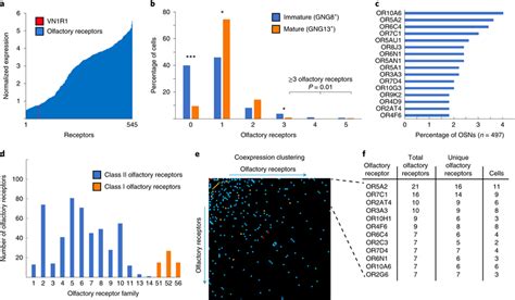 Analysis of olfactory receptor expression in human olfactory ...