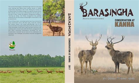 Buy Barasingha Conservation at Kanha Book Online at Low Prices in India | Barasingha ...