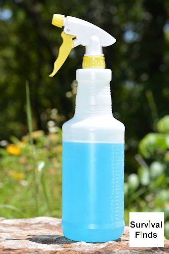 Homemade Wasp Spray -- A very simple formula (and quite frugal too) to combat the wasps that ...