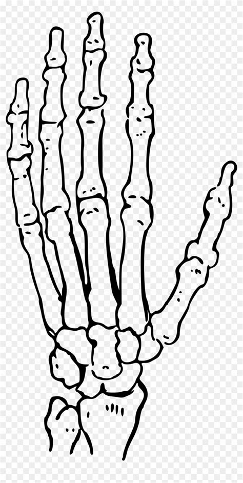 Skeleton Hand Heavy Metal Vector Illustration Stock Illustration - Clip Art Library