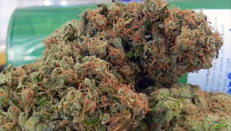 Headband Marijuana Strain (Review)