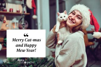 33 Christmas Cat Puns & Jokes With Pawesome Wordplay | LoveToKnow Pets