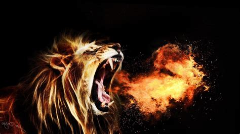 Lion Wallpapers [19201080] #Music #IndieArtist #Chicago | Lion wallpaper, Lion hd wallpaper ...