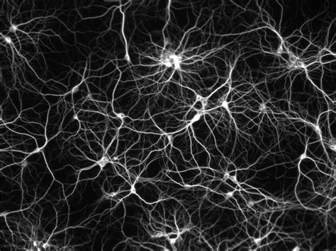 Artificial Neurons Can Now Be Used To Replace Human Brain Cells