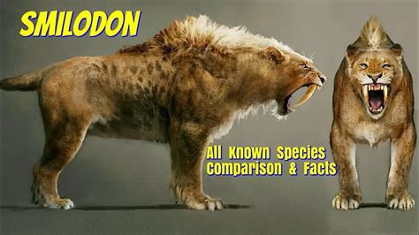 Smilodon Facts | Science Facts