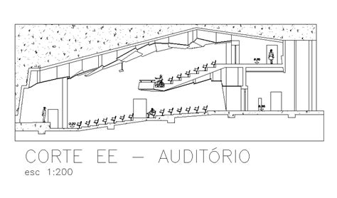 Section view of small Auditorium plan is given in this Autocad drawing ...