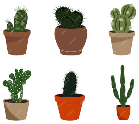 Premium Vector | Cactus drawings Set of cacti in pots