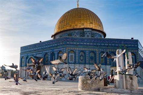 5 Reasons to Tour Palestine – Engaging Cultures Travel | Culture travel ...