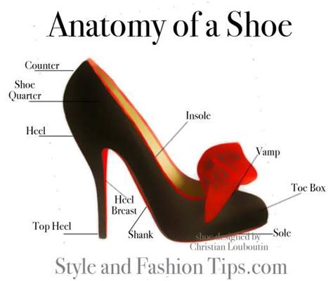 High Heel Shoe: Anatomy Of A Shoe High Heel