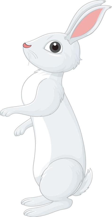 White rabbit cartoon character 14291525 Vector Art at Vecteezy