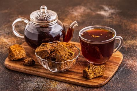 A Complete Guide to Chaga Mushrooms | GroCycle