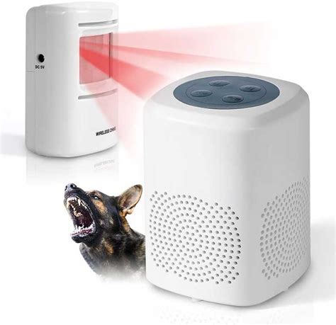 5 Best Barking Dog Alarms for Home Security [2023 Guide] - Nerd Techy