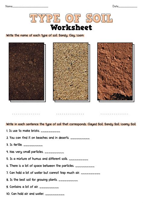 Layers Of Soil Worksheet | Soil layers, Types of soil, Third grade science worksheets