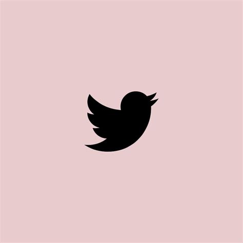 Twitter Logo, Twitter App, Twitter Icon, Ios App Icon, Pink Iphone ...