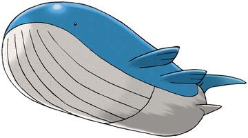 Wailord Pokédex: stats, moves, evolution & locations | Pokémon Database