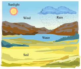 Abiotic And Biotic Factors - Lessons - Blendspace