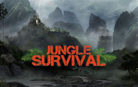 Jungle Survival | Survival Team Building Activity | Wildgoose UK