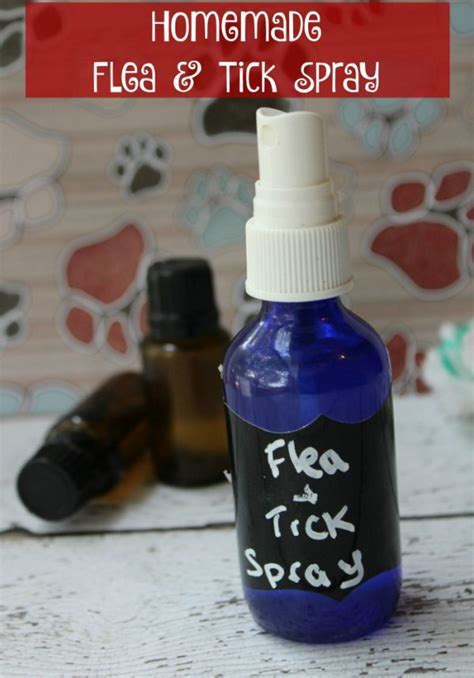 How to Make Flea and Tick Spray for Pets | A Magical Mess